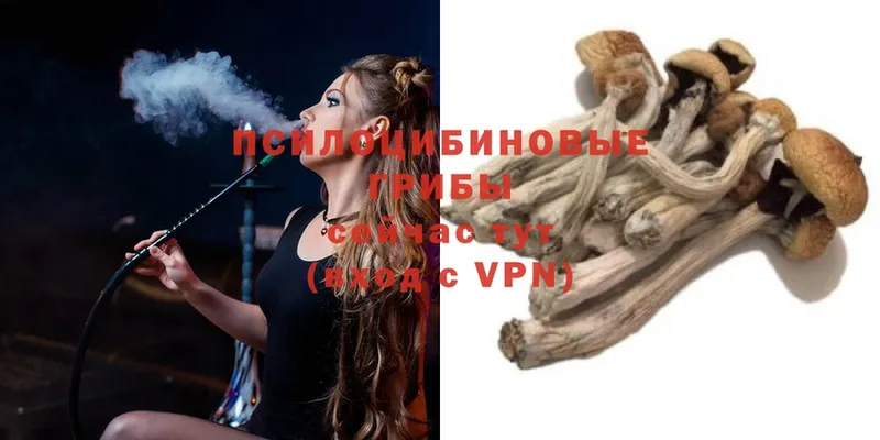 OMG ссылка  Поронайск  Галлюциногенные грибы мухоморы 